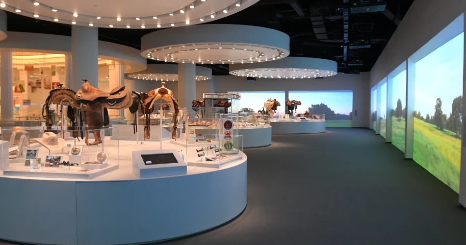 Dallas'taki En İyi 10 Müzeler