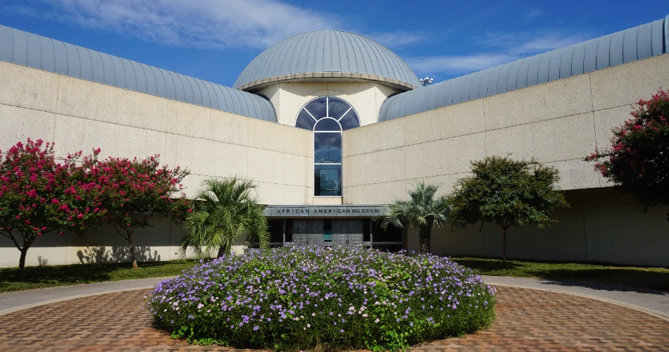 Dallas'taki En İyi 10 Müzeler