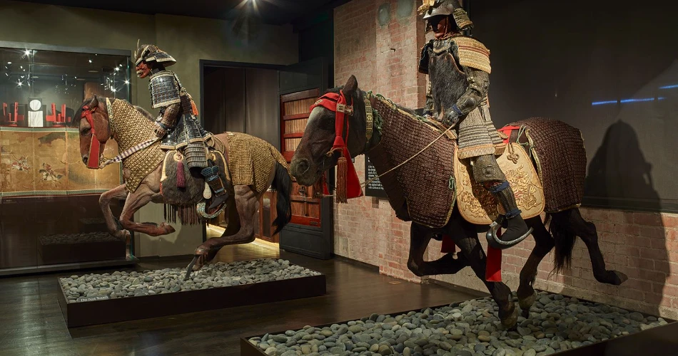 Dallas'taki En İyi 10 Müzeler