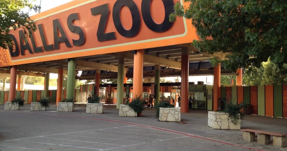 10 Best Kids' Attractions in Dallas