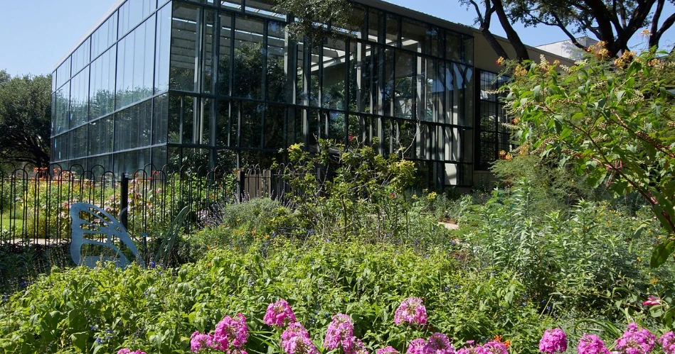 10 Best Kids' Attractions in Dallas