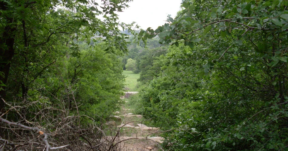 10 Best Parks and Outdoor Places in Dallas