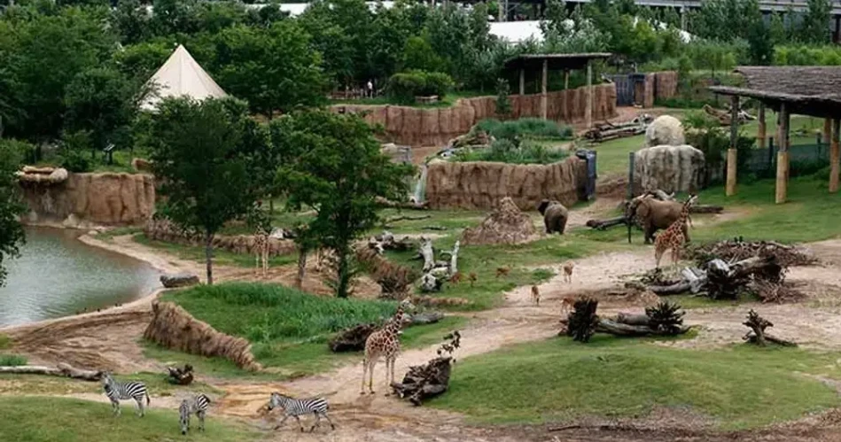 10 Best Christmas and Holiday Attractions in Dallas