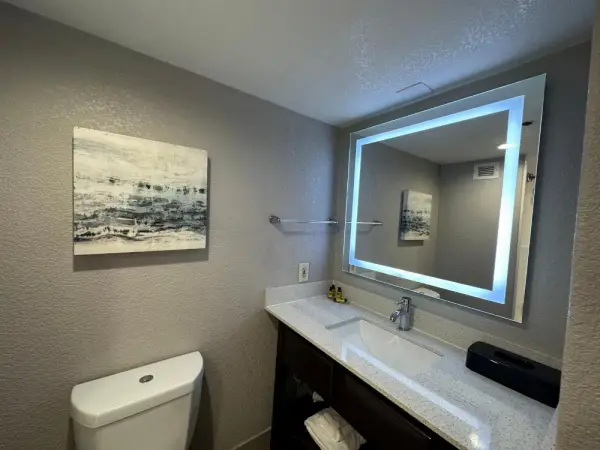 Comfort Inn Dallas North Love Field Airport 8