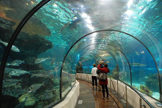Tour image 7